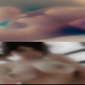 Free swinger personals the gulf